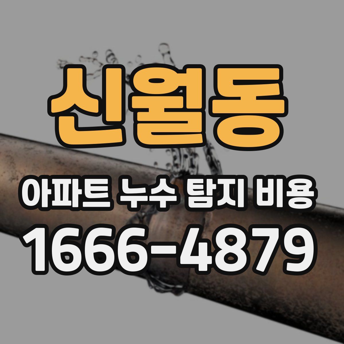 신월동 아파트 누수 탐지 비용