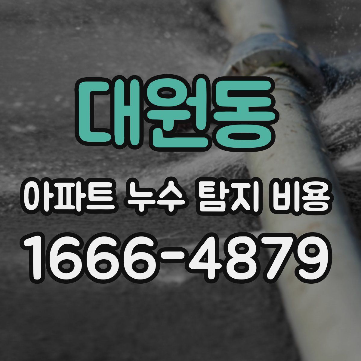대원동 아파트 누수 탐지 비용