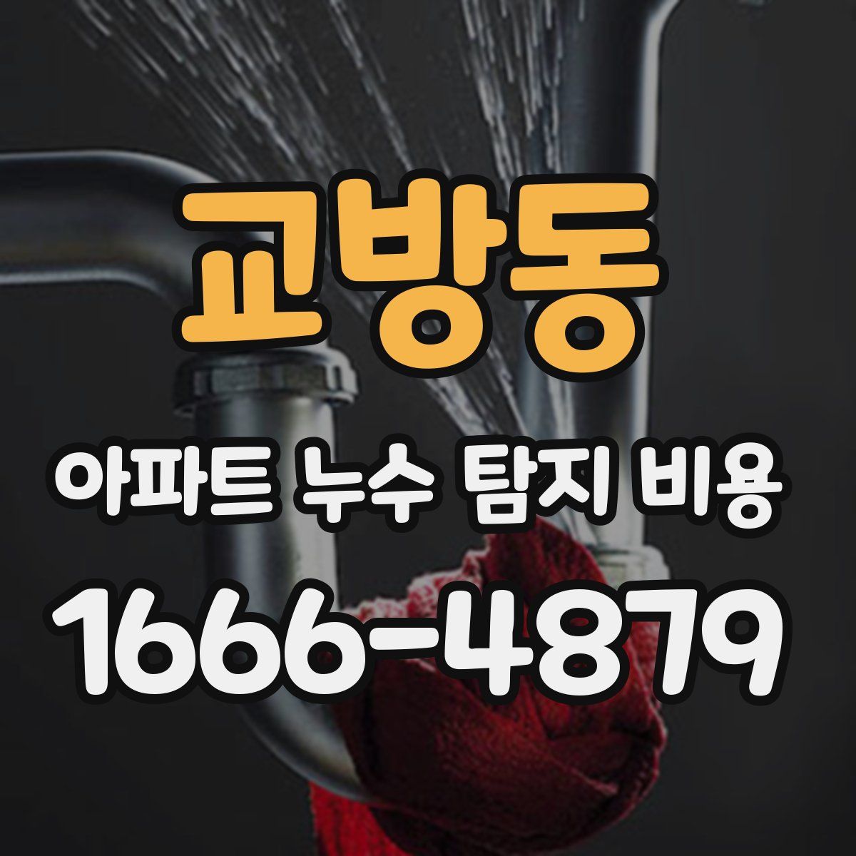 교방동 아파트 누수 탐지 비용