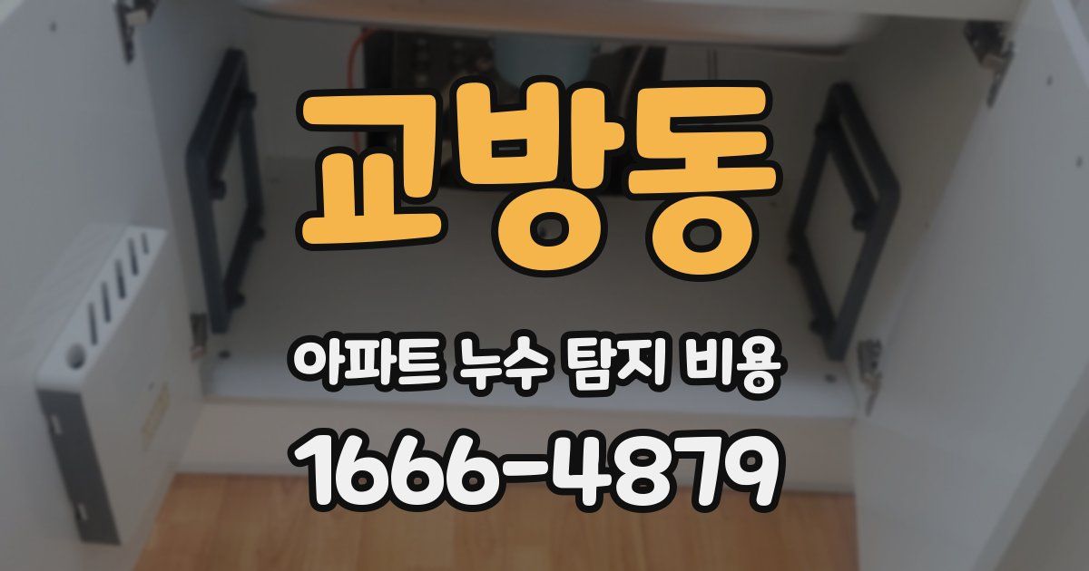 교방동 아파트 누수 탐지 비용