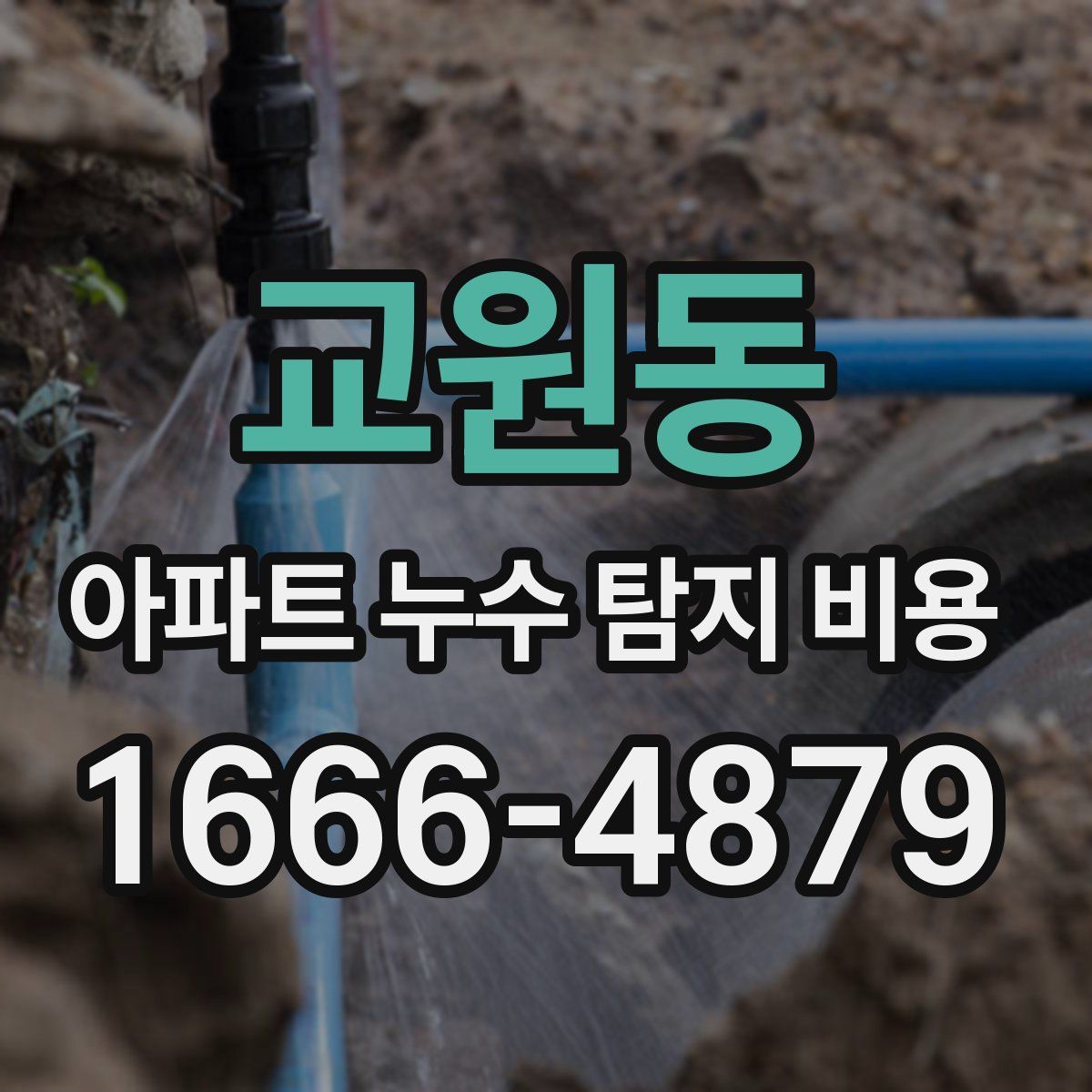 교원동 아파트 누수 탐지 비용