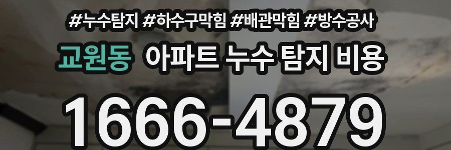 교원동 아파트 누수 탐지 비용