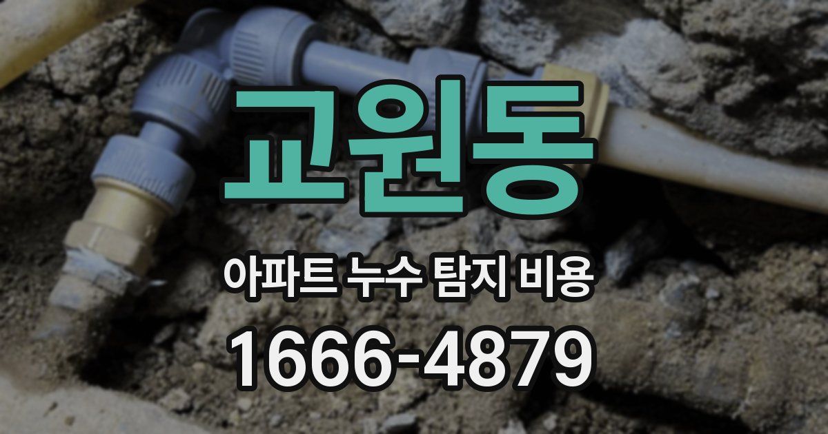 교원동 아파트 누수 탐지 비용