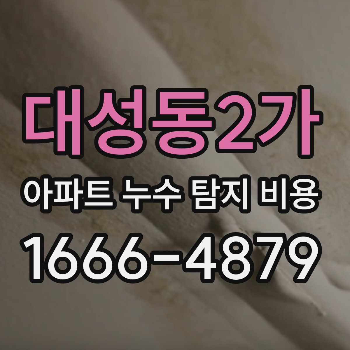 대성동2가 아파트 누수 탐지 비용