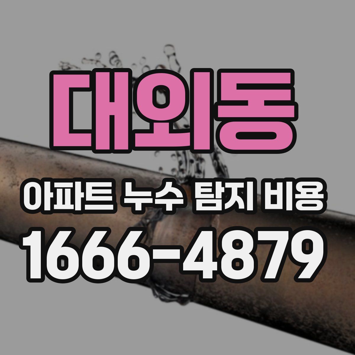 대외동 아파트 누수 탐지 비용