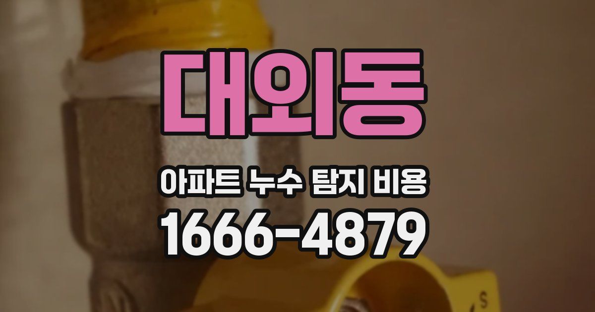 대외동 아파트 누수 탐지 비용