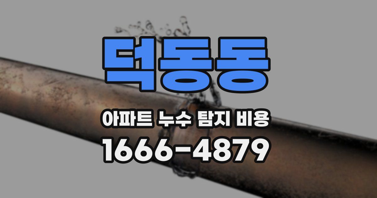 덕동동 아파트 누수 탐지 비용