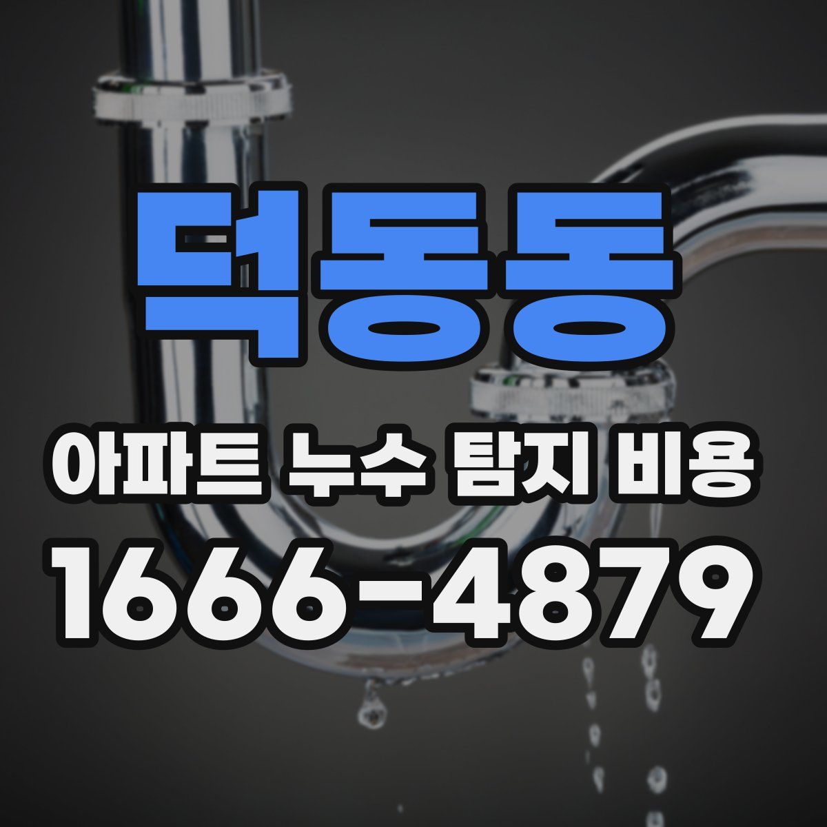 덕동동 아파트 누수 탐지 비용