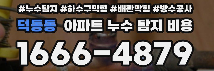 덕동동 아파트 누수 탐지 비용