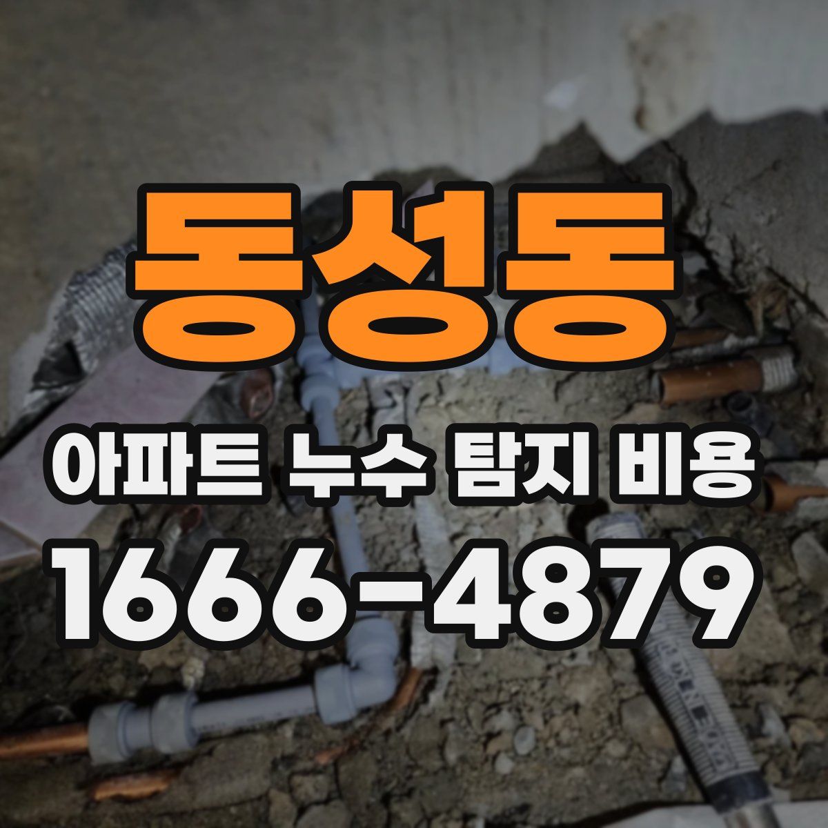동성동 아파트 누수 탐지 비용