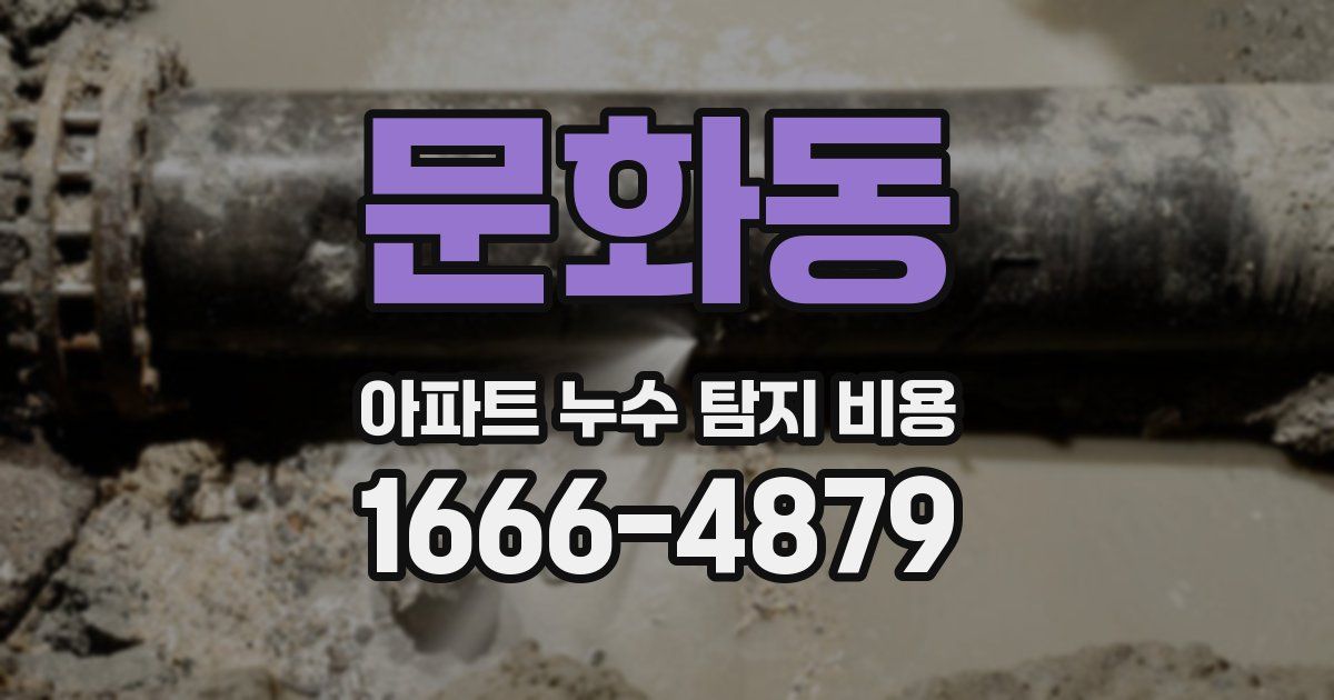 문화동 아파트 누수 탐지 비용
