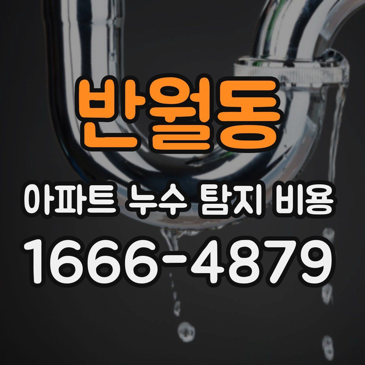 반월동 아파트 누수 탐지 비용