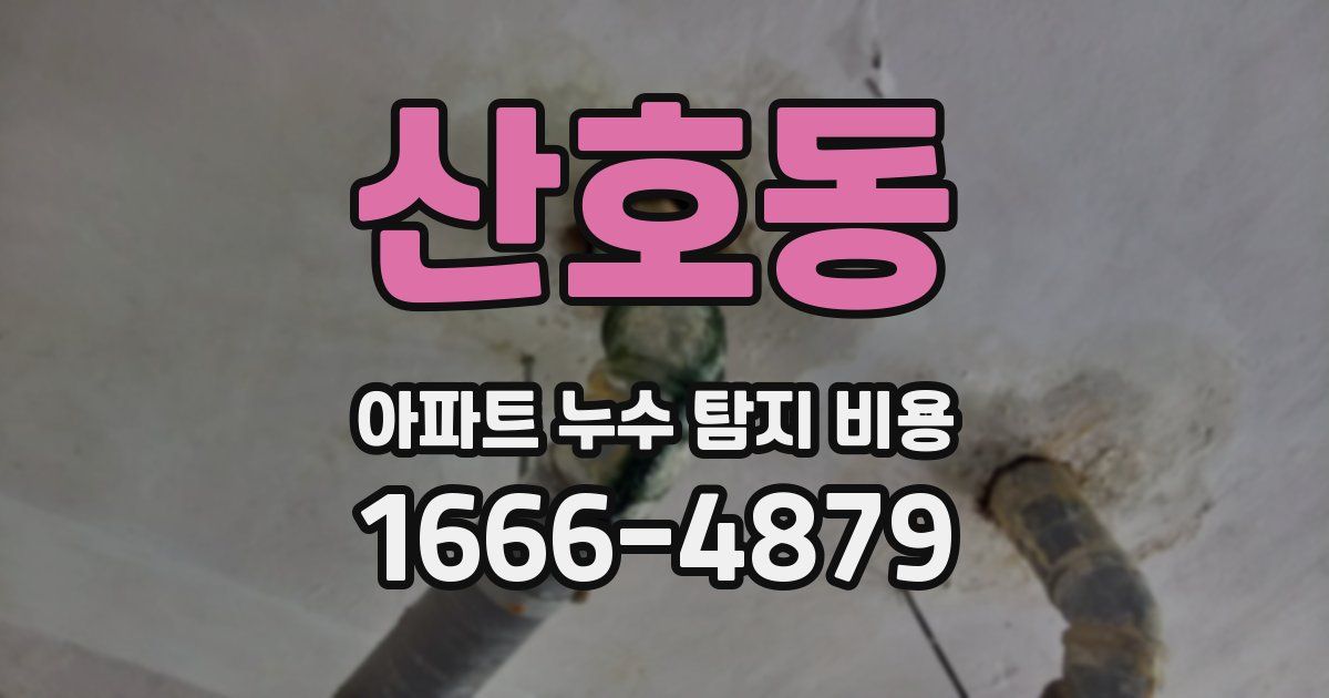 산호동 아파트 누수 탐지 비용