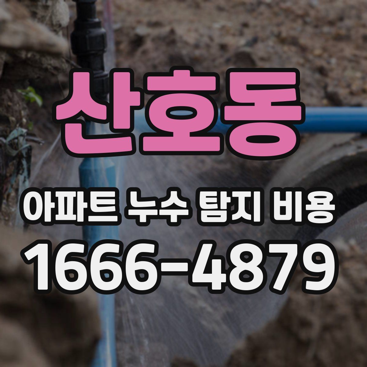 산호동 아파트 누수 탐지 비용