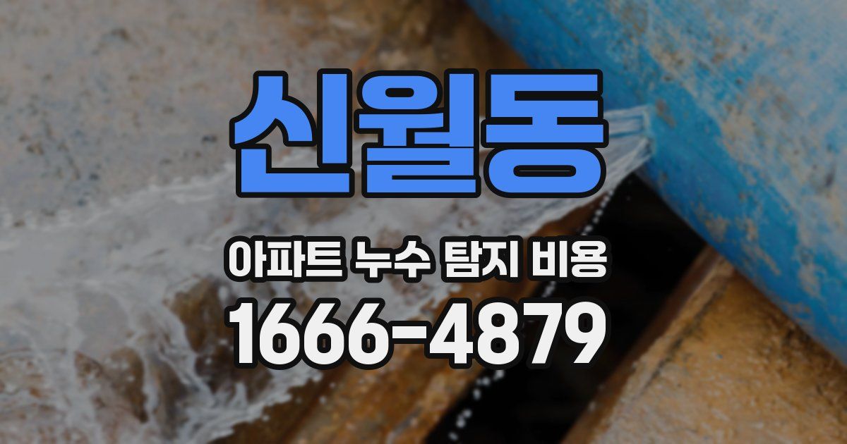 신월동 아파트 누수 탐지 비용