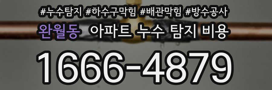 완월동 아파트 누수 탐지 비용