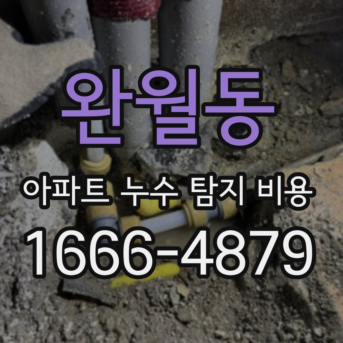 완월동 아파트 누수 탐지 비용