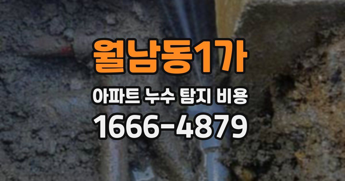 월남동1가 아파트 누수 탐지 비용
