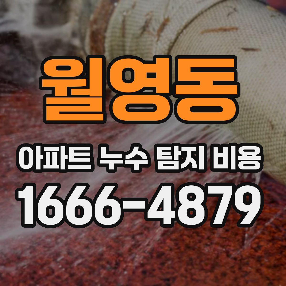 월영동 아파트 누수 탐지 비용
