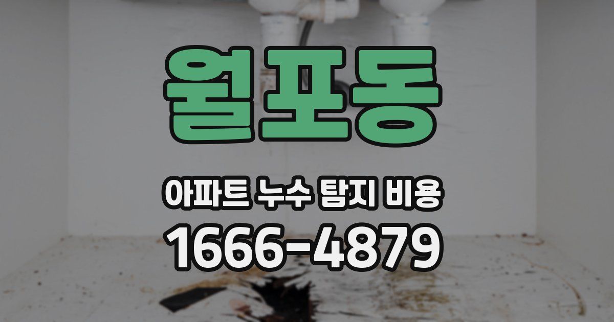 월포동 아파트 누수 탐지 비용