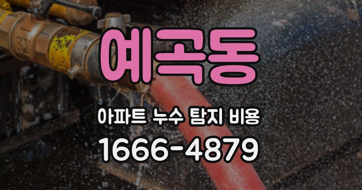 예곡동 아파트 누수 탐지 비용