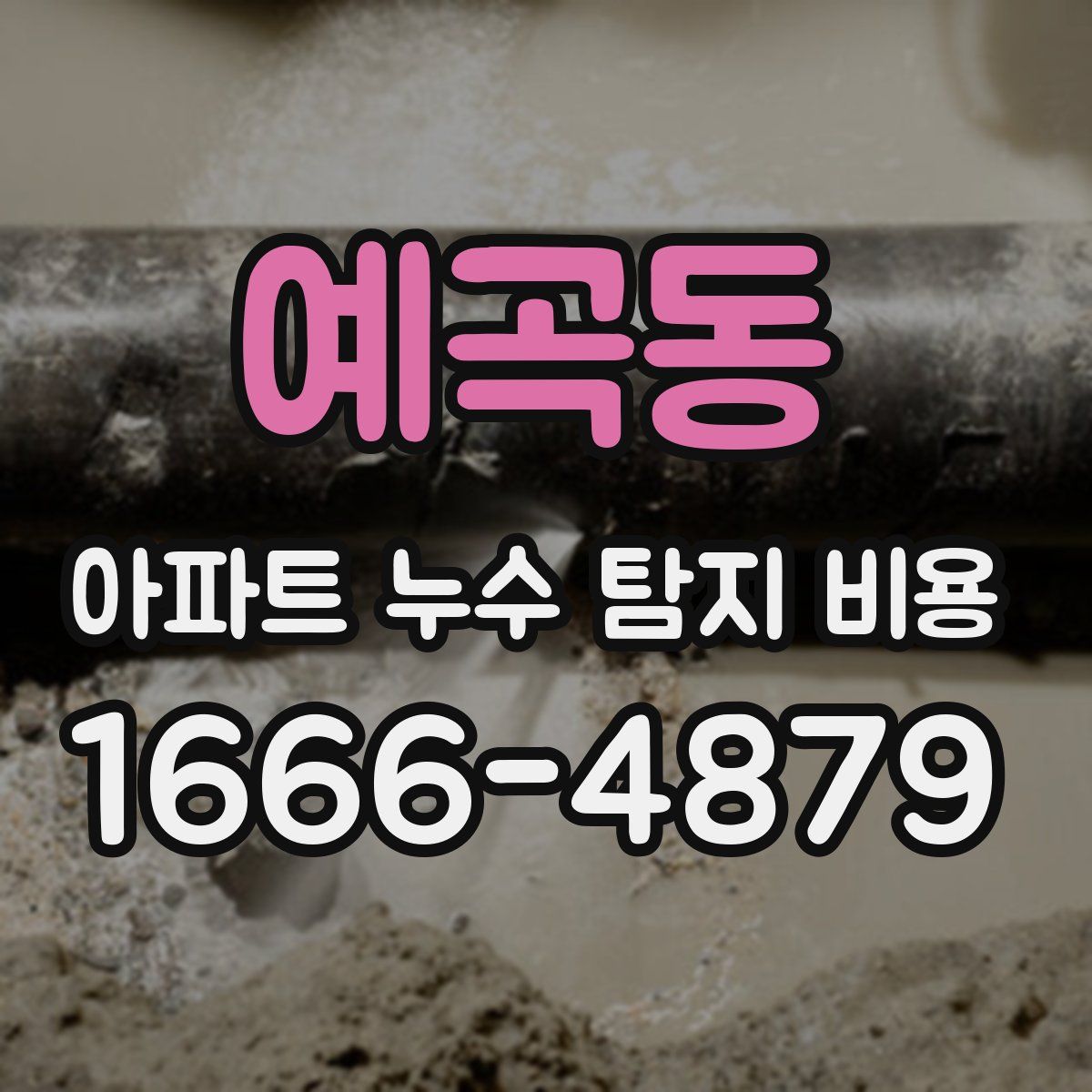 예곡동 아파트 누수 탐지 비용