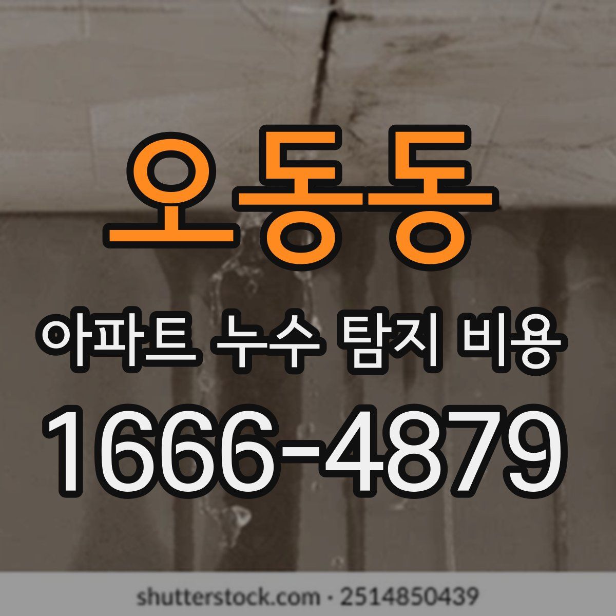 오동동 아파트 누수 탐지 비용