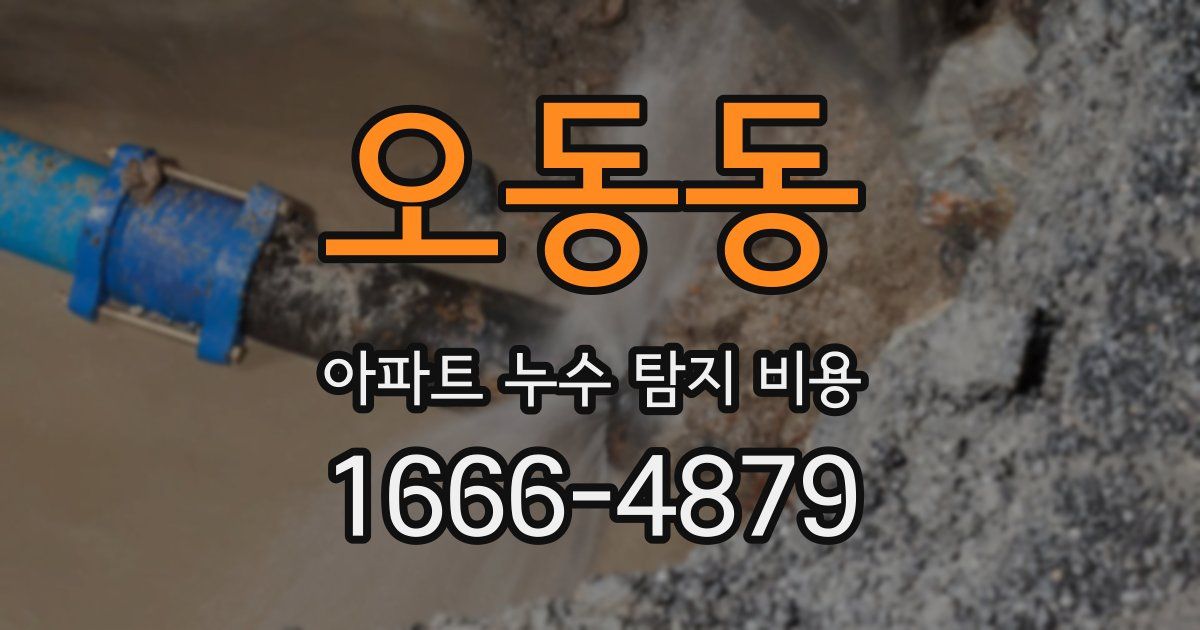 오동동 아파트 누수 탐지 비용