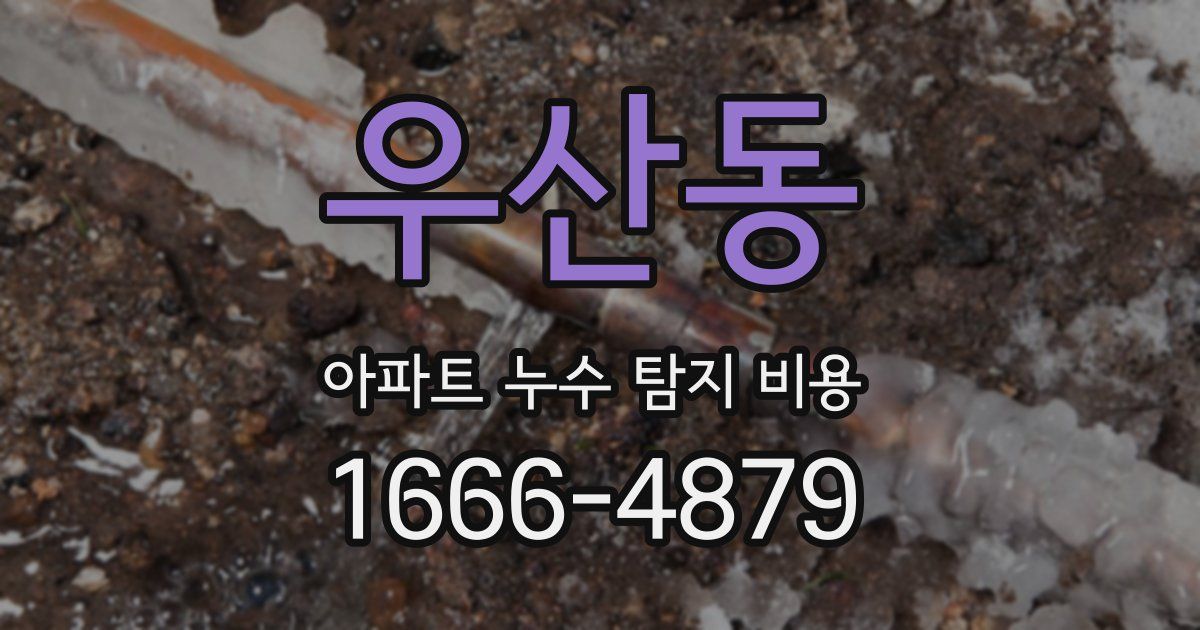 우산동 아파트 누수 탐지 비용