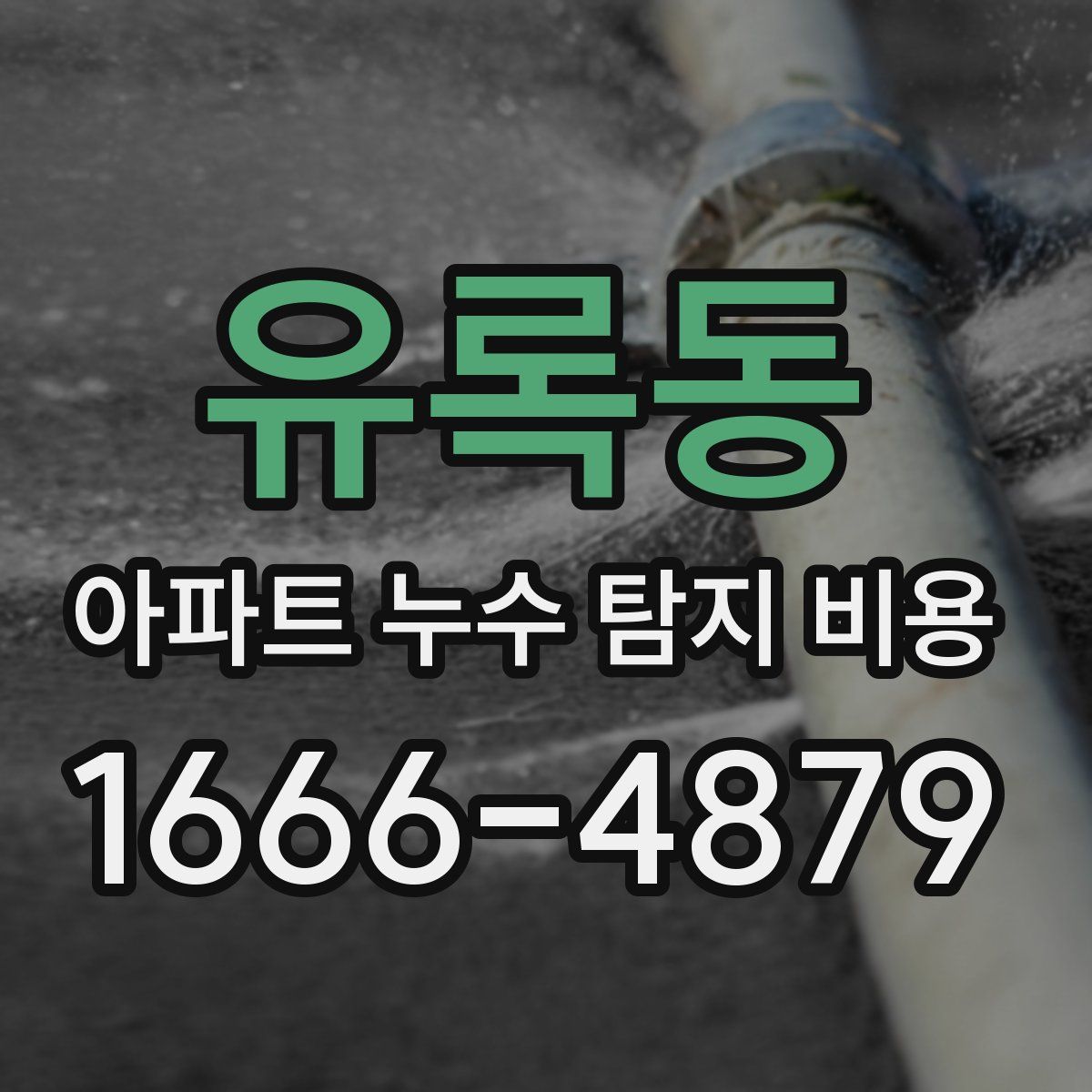 유록동 아파트 누수 탐지 비용