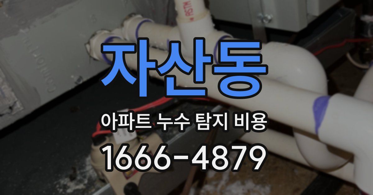 자산동 아파트 누수 탐지 비용