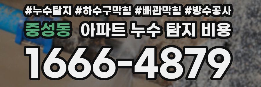 중성동 아파트 누수 탐지 비용