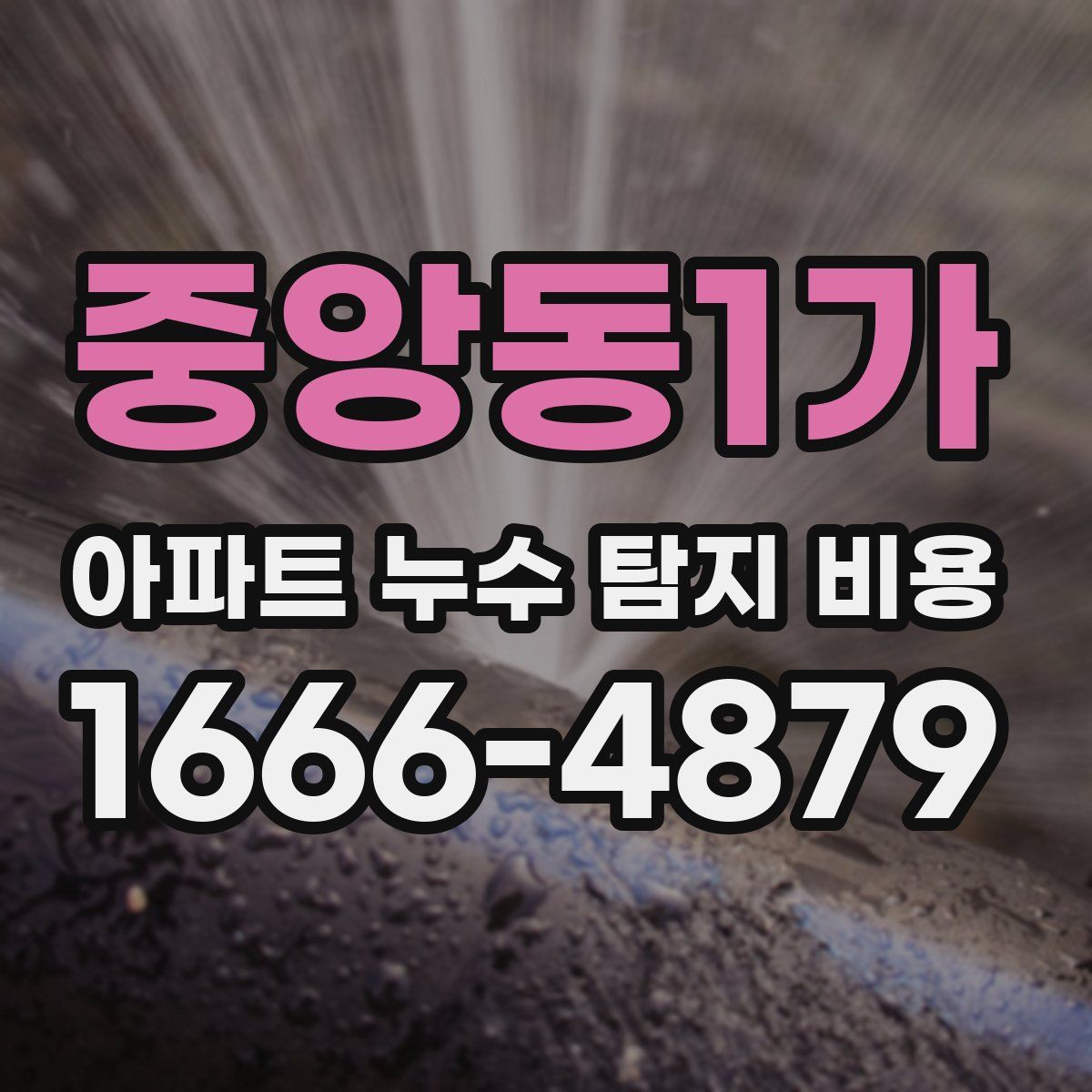 중앙동1가 아파트 누수 탐지 비용