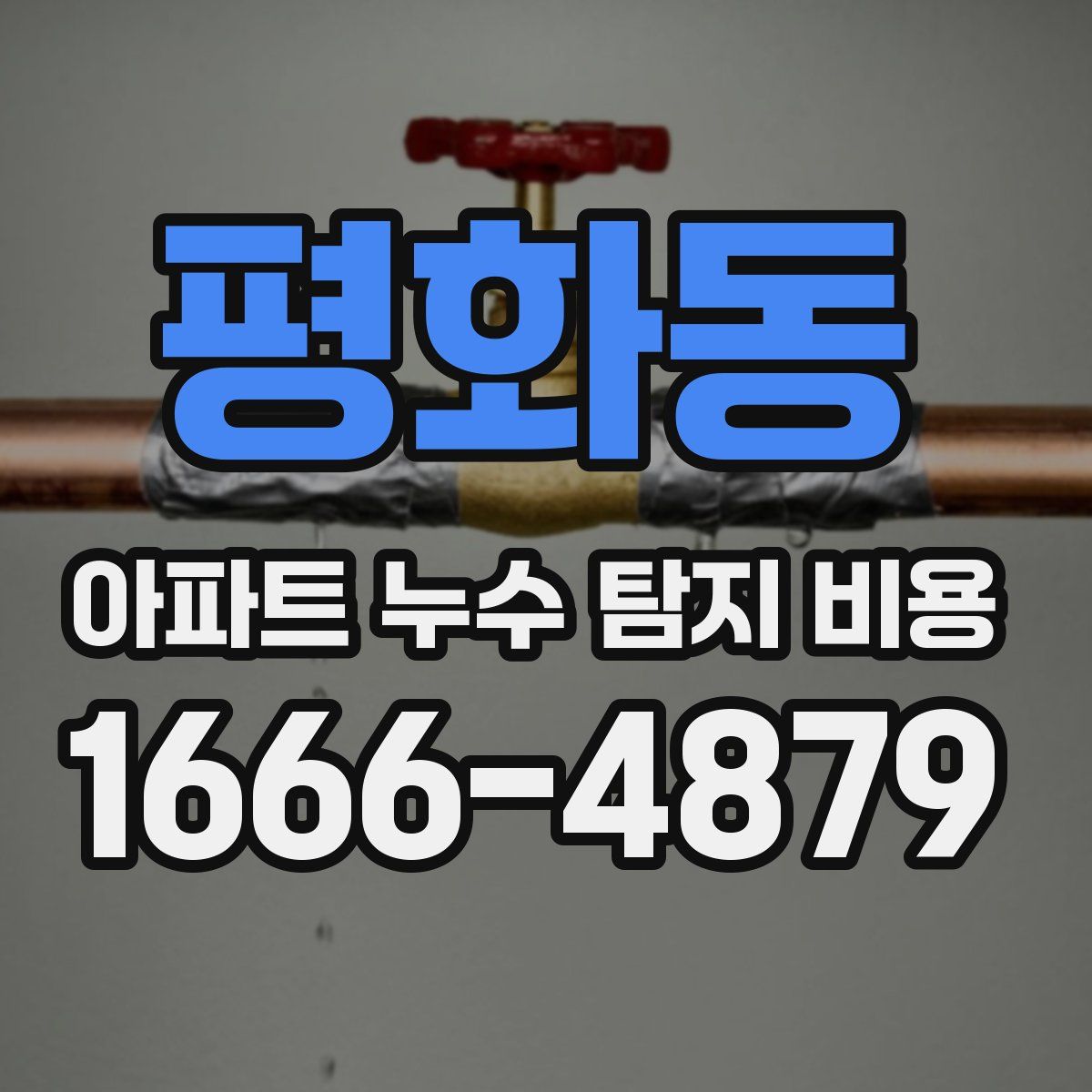 평화동 아파트 누수 탐지 비용