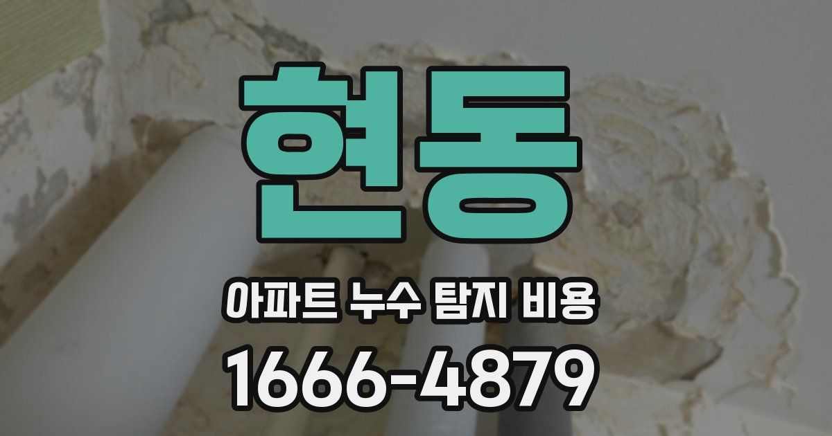 현동 아파트 누수 탐지 비용
