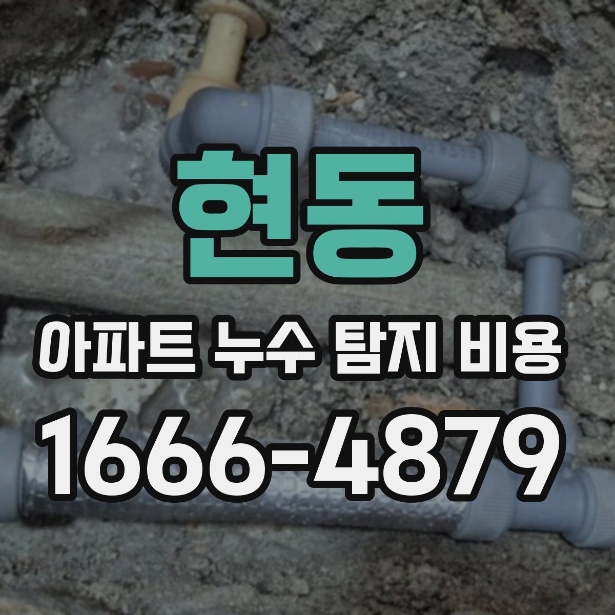 현동 아파트 누수 탐지 비용