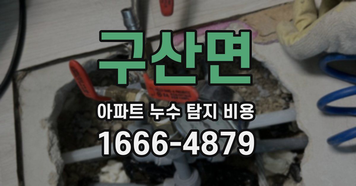 구산면 아파트 누수 탐지 비용