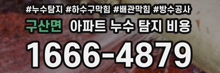 구산면 아파트 누수 탐지 비용