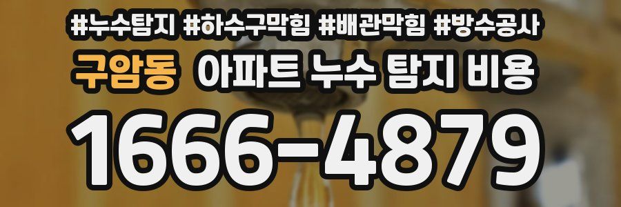 구암동 아파트 누수 탐지 비용