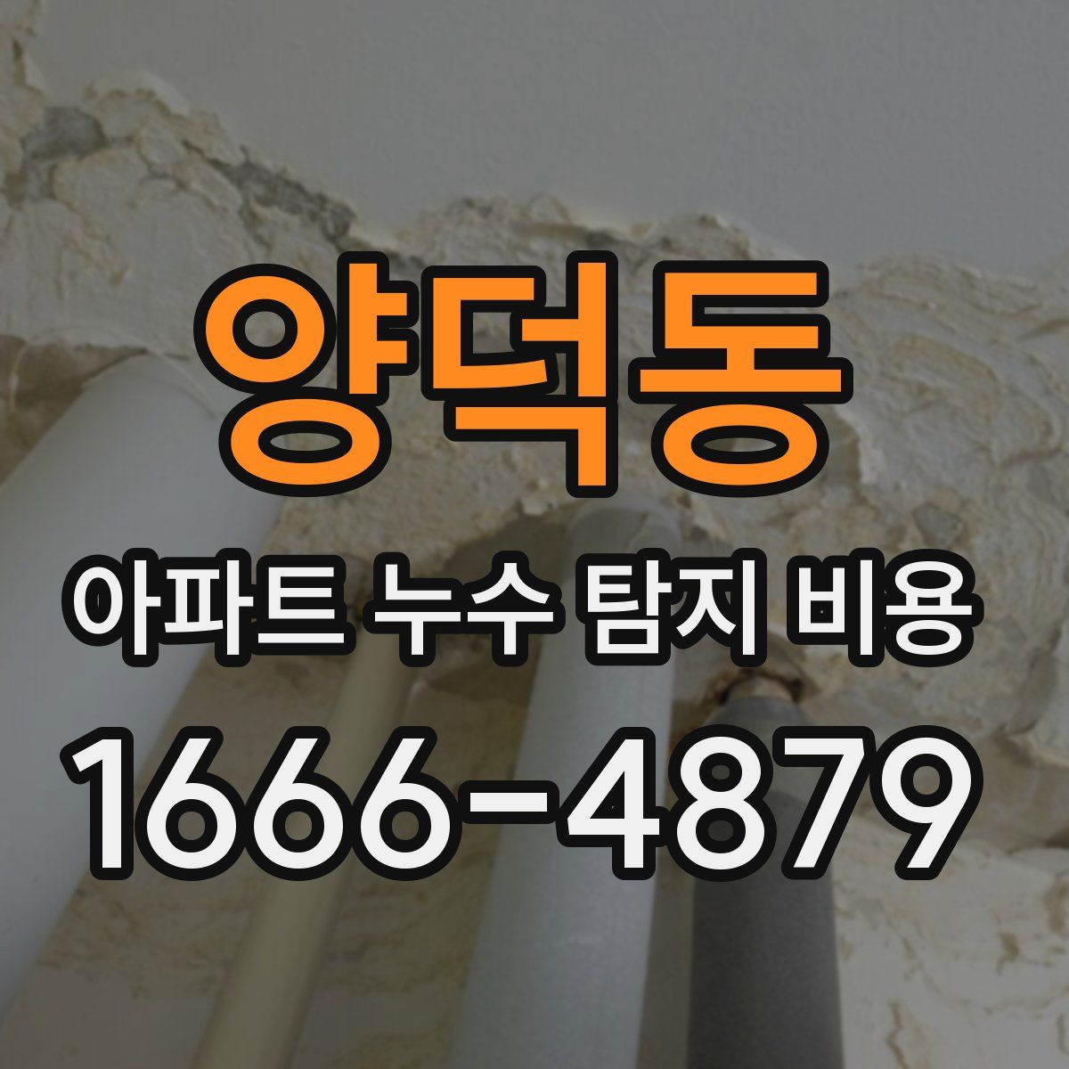 양덕동 아파트 누수 탐지 비용