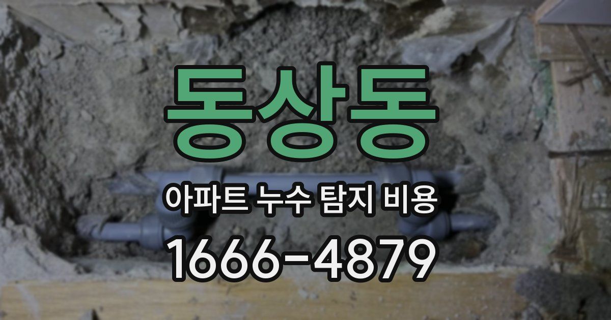 동상동 아파트 누수 탐지 비용