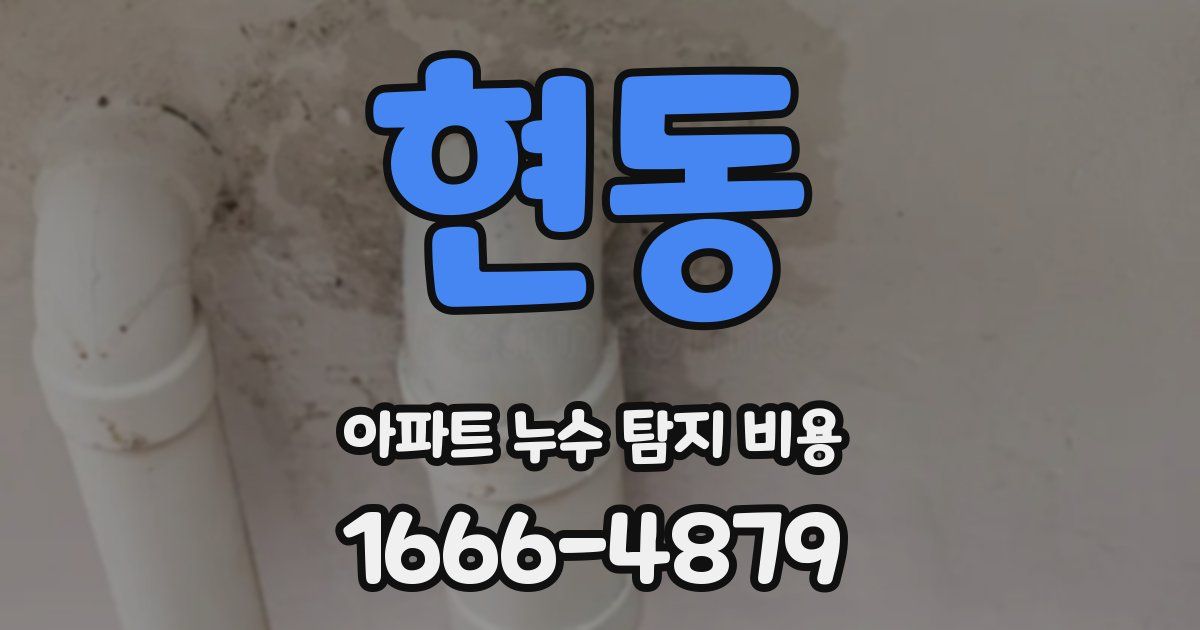 현동 아파트 누수 탐지 비용