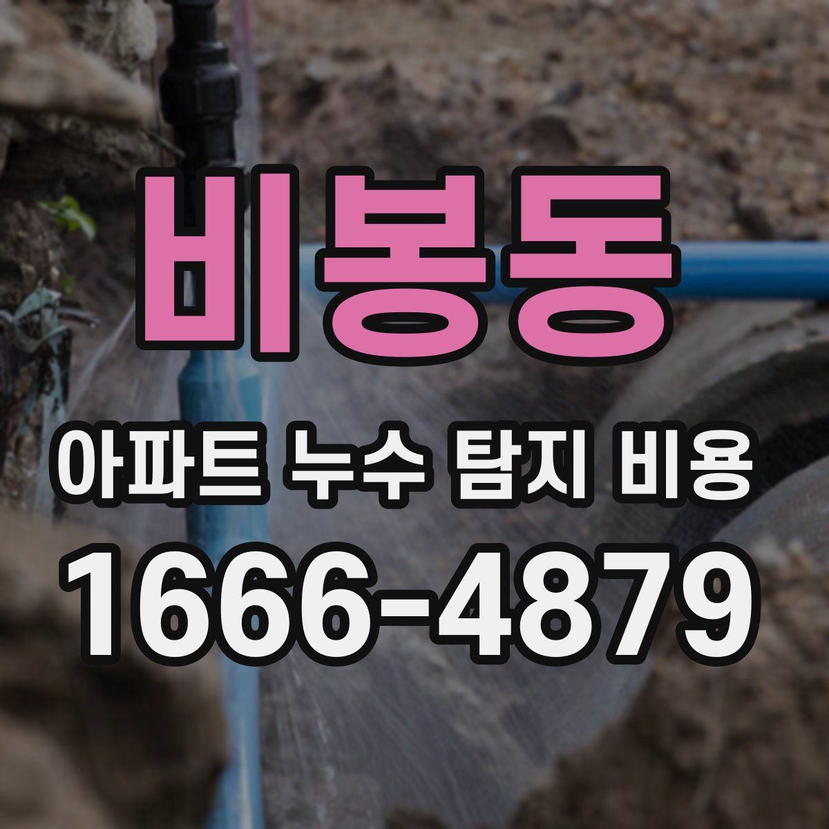 비봉동 아파트 누수 탐지 비용