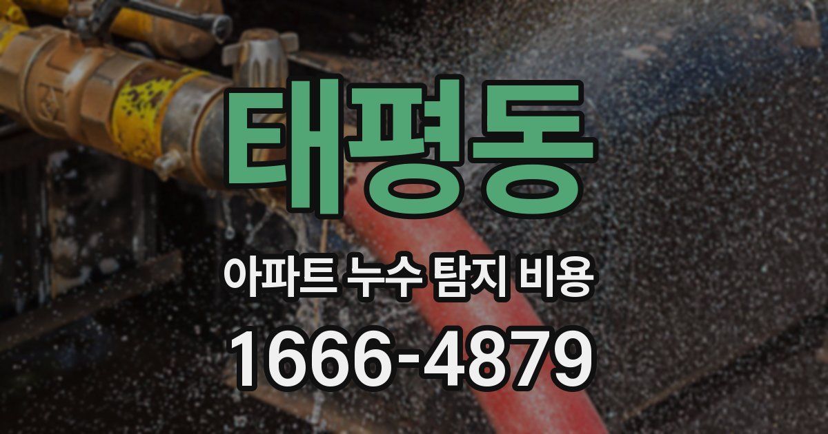 태평동 아파트 누수 탐지 비용