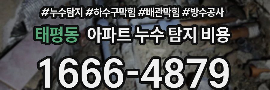태평동 아파트 누수 탐지 비용