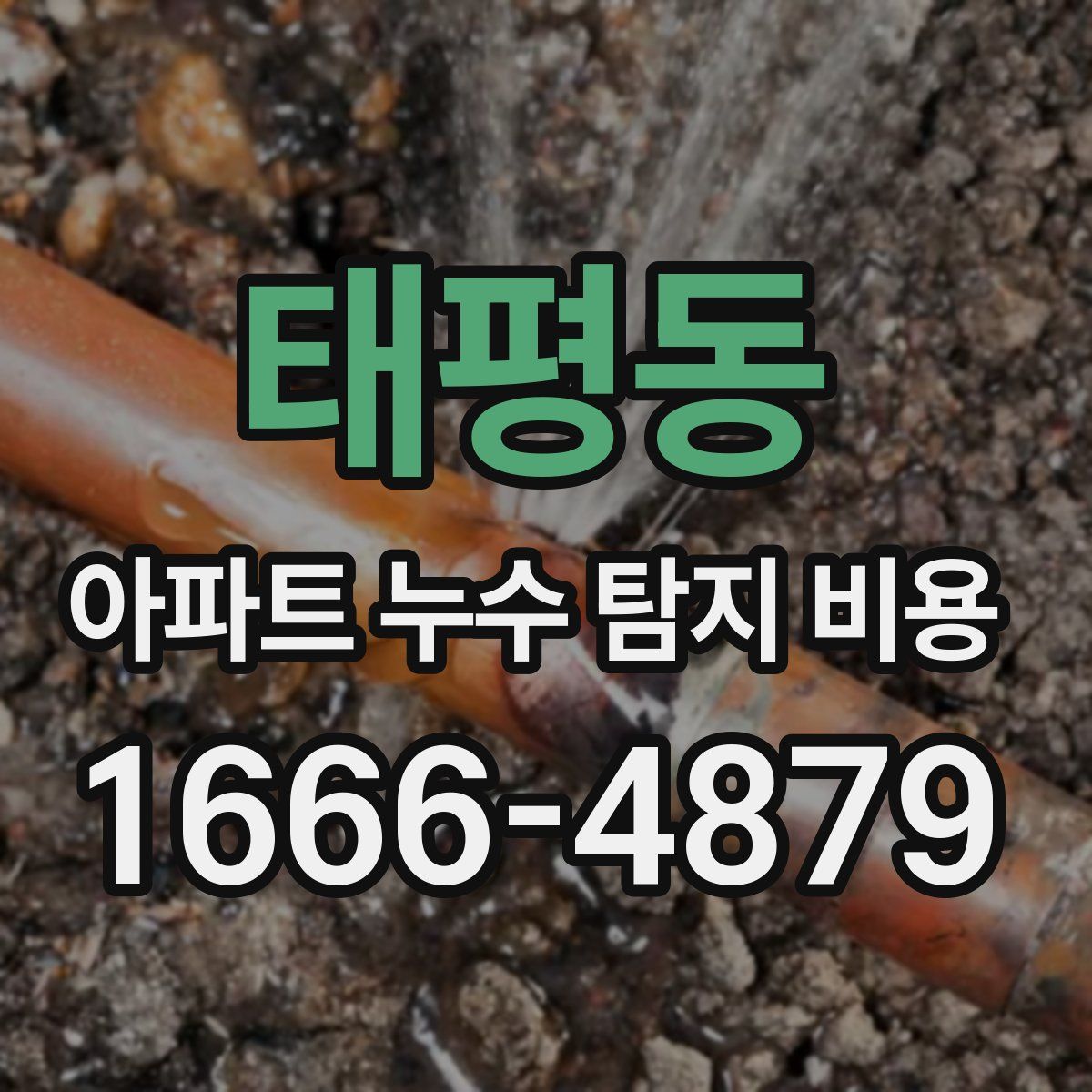 태평동 아파트 누수 탐지 비용