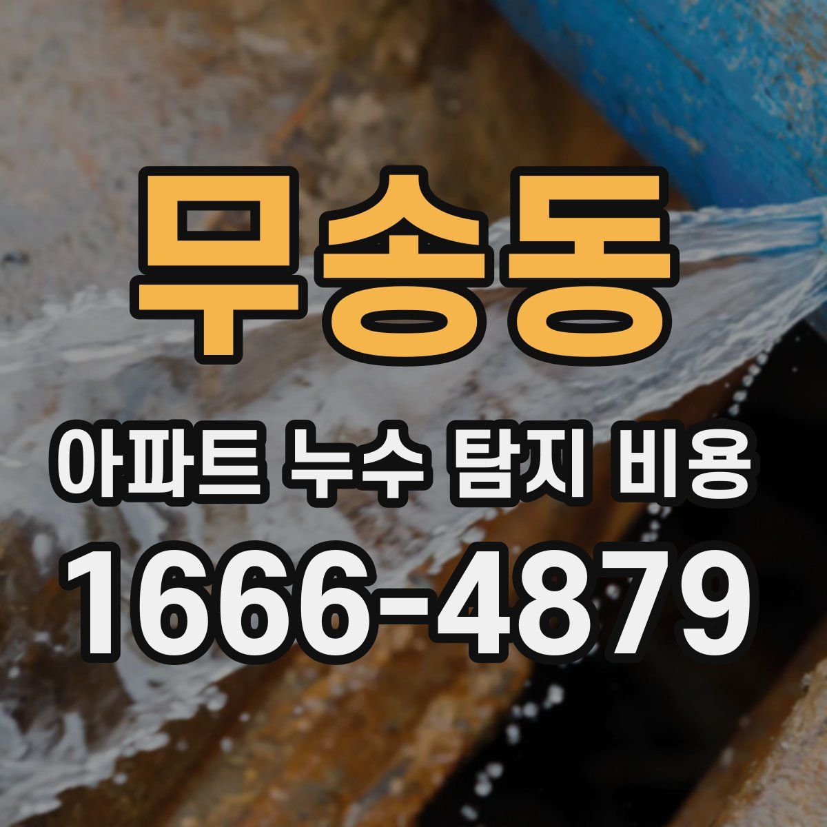 무송동 아파트 누수 탐지 비용