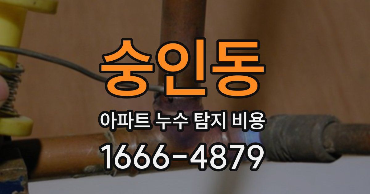 숭인동 아파트 누수 탐지 비용