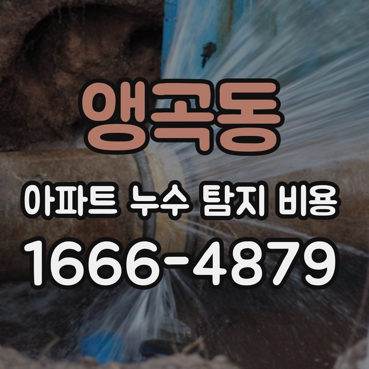 앵곡동 아파트 누수 탐지 비용