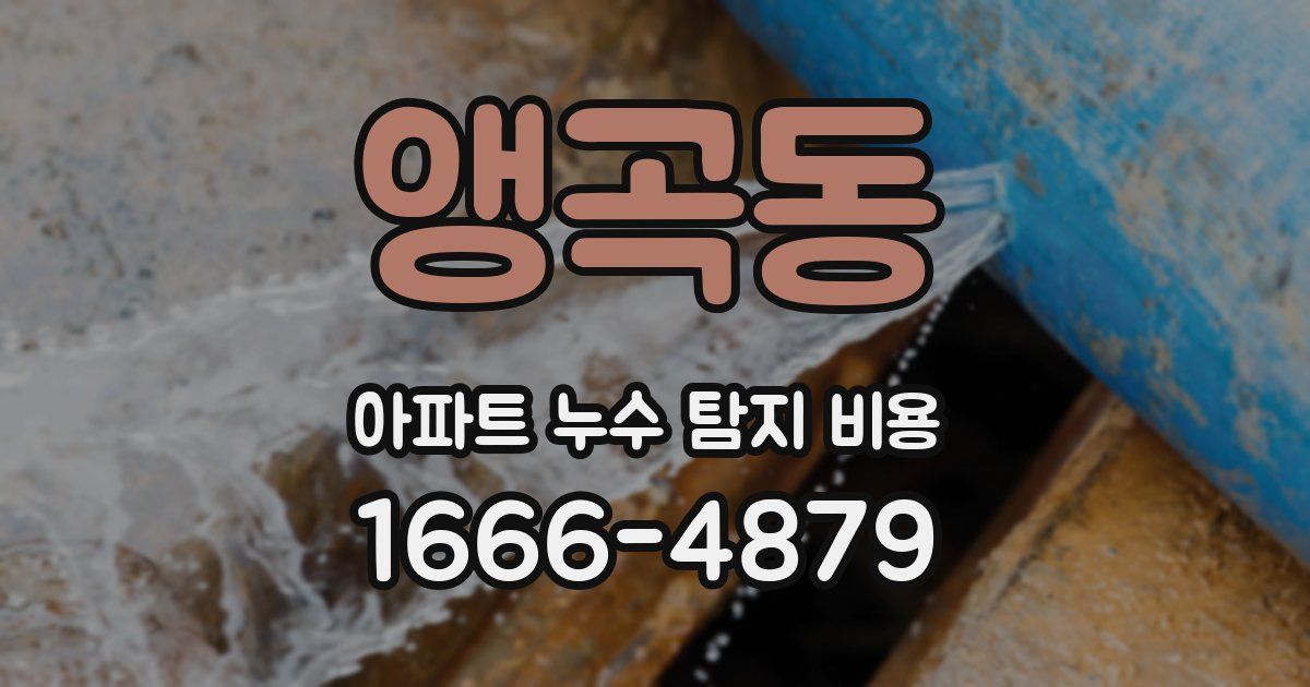 앵곡동 아파트 누수 탐지 비용
